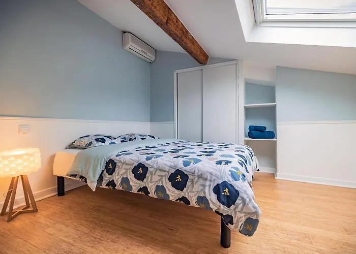 142 M² Quartier Carmes Hypercentre