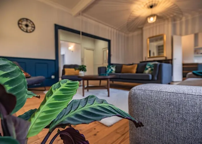 公寓 142 M² Quartier Carmes Hypercentre *